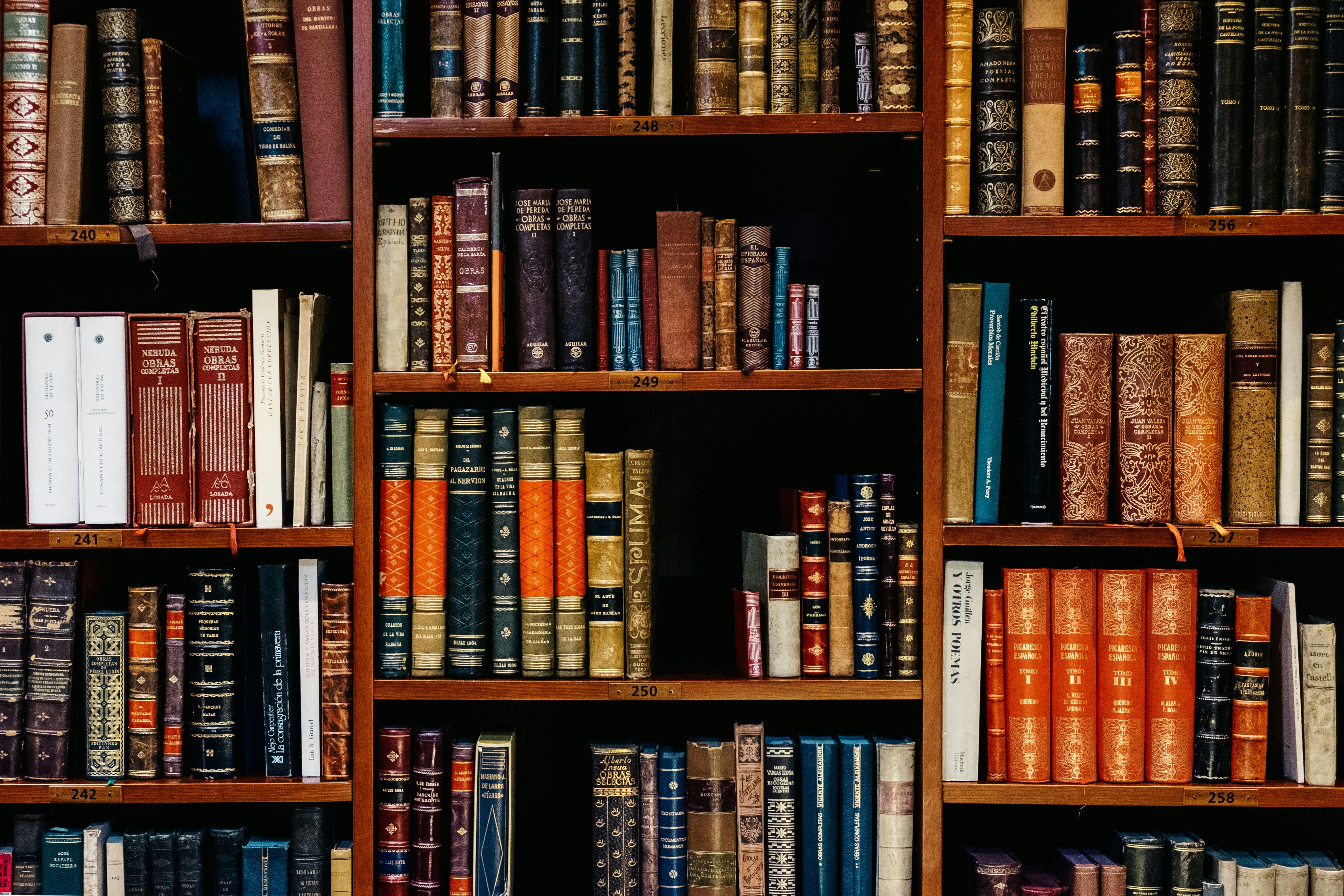 image of a law library shelf of books